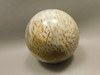 Petrified Palm Wood 2.75 inch Sphere Fossil Indonesia #O23