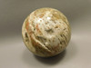Petrified Palm Wood 2.75 inch Sphere Fossil Indonesia #O23