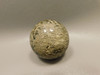 Petrified Palm Wood Sphere 1.6 inch Stone 40 mm Indonesia #O31