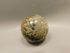 Petrified Palm Wood Sphere 1.6 inch Stone 40 mm Indonesia #O31