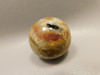 Petrified Palm Wood Sphere 1.6 inch Stone 40 mm Indonesia #O33