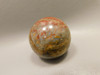Petrified Palm Wood Sphere 1.6 inch Stone 40 mm Indonesia #O33