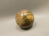 Petrified Palm Wood Sphere 1.6 inch Stone 40 mm Indonesia #O33