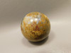 Petrified Palm Wood Sphere 1.6 inch Stone 40 mm Indonesia #O33