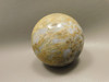 Petrified Palm Wood Sphere 2.4 inch Stone Indonesia #O24