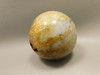 Petrified Palm Wood Sphere 2.4 inch Stone Indonesia #O24