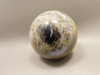Petrified Palm Wood Sphere 2.4 inch Stone Indonesia #O24