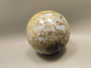 Petrified Palm Wood Sphere 2.4 inch Stone Indonesia #O24