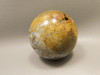 Petrified Palm Wood Sphere 2.4 inch Stone Indonesia #O24