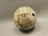Petrified Palm Wood Sphere 2.4 inch Stone Fossil Indonesia #O25
