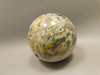 Petrified Palm Wood Sphere 2.4 inch Stone Fossil Indonesia #O25
