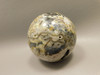 Petrified Palm Wood Sphere 2.4 inch Stone Fossil Indonesia #O25