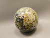 Petrified Palm Wood Sphere 2.4 inch Stone Fossil Indonesia #O25