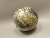 Petrified Palm Wood Sphere 2.4 inch Stone Fossil Indonesia #O25