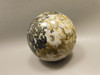 Petrified Palm Wood Sphere 2.4 inch Stone Fossil Indonesia #O25
