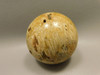 Petrified Palm Wood Sphere 2.4 inch Stone Fossil Indonesia #O26