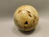 Petrified Palm Wood Sphere 2.4 inch Stone Fossil Indonesia #O26