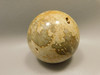 Petrified Palm Wood Sphere 2.4 inch Stone Fossil Indonesia #O26
