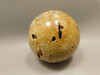 Petrified Palm Wood Sphere 2.4 inch Stone Fossil Indonesia #O26