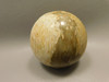 Petrified Palm Wood Sphere 2.4 inch Stone Fossil Indonesia #O26