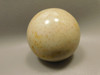 Petrified Palm Wood Sphere 2.4 inch Stone Fossil Louisiana #OLA