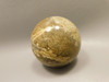 Petrified Palm Wood Sphere 2.2 inch Stone Fossil Indonesia #O28