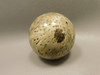 Petrified Palm Wood Sphere 2 inch Stone Fossil Indonesia #O29