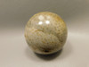 Petrified Palm Wood Sphere 2 inch Stone Fossil Indonesia #O30