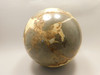 Septarian Nodule Stone 4 inch Sphere Ball Polished Rock Utah #OL1