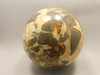 Septarian Nodule Stone 4 inch Sphere Ball Polished Rock Utah #OL1