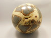 Septarian Nodule Stone 4 inch Sphere Ball Polished Rock Utah #OL1