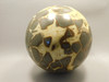 Septarian Nodule Stone 5 inch Sphere Ball Polished Rock Utah #OL1