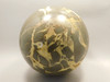 Septarian Nodule Stone 5 inch Sphere Ball Polished Rock Utah #OL1