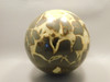 Septarian Nodule Stone 5 inch Sphere Ball Polished Rock Utah #OL1