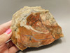 Chapenite Jasper Polished Collector Rock Siam Siding California #O4