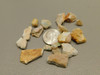 Spenser Opal Unpolished Stone CHIPS Iridescent Small Rock