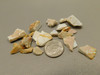 Spenser Opal Unpolished Stone CHIPS Iridescent Small Rock