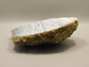 Agate Polished Waterline Stone Collector Rock Idaho #O2