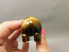 Hippopotamus Figurine Tiger-eye 3 inch Animal Carving Totem #O373