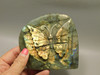 Butterfly Figurine Labradorite  Stone Animal Insect Carving #O99