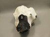 English Flint with Cortex Lapidary Stone Rough Rock England #O1