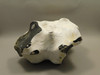 English Flint with Cortex Lapidary Stone Rough Rock England #O1
