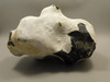 English Flint with Cortex Lapidary Stone Rough Rock England #O1