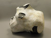 English Flint with Cortex Lapidary Stone Rough Rock England #O1