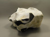 English Flint with Cortex Lapidary Stone Rough Rock England #O1