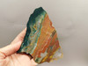 Hampton Butte Jasper Rough Rock Petrified Wood #O10