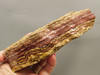 Candy Opal Unpolished Rough Rock Bubble or Bacon Opal #O20