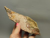 Candy Opal Unpolished Rough Rock Bubble or Bacon Opal #O20