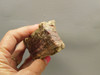 Candy Opal Unpolished Rough Rock Bubble or Bacon Opal #O20