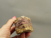 Candy Opal Unpolished Rough Rock Bubble or Bacon Opal #O20